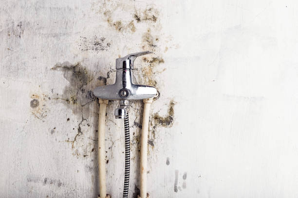  Bull Run, VA Mold Removal Pros