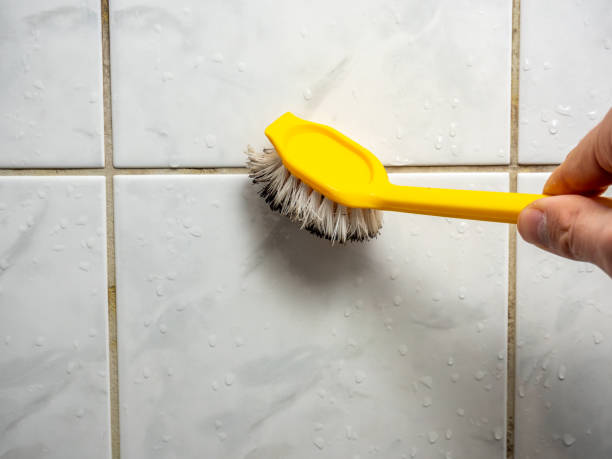 Best Affordable Mold Removal  in Bull Run, VA