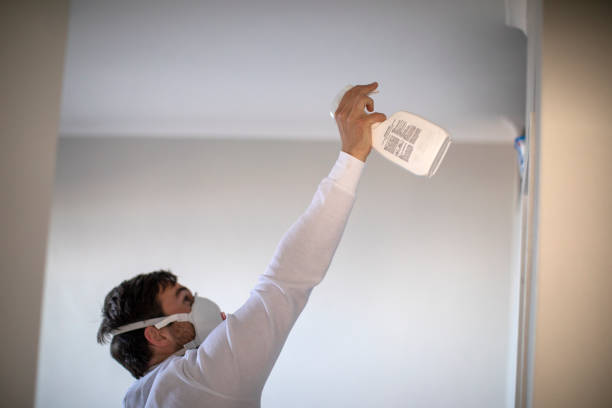 Home Mold Removal in Bull Run, VA
