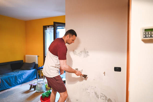 Best Emergency Mold Removal  in Bull Run, VA